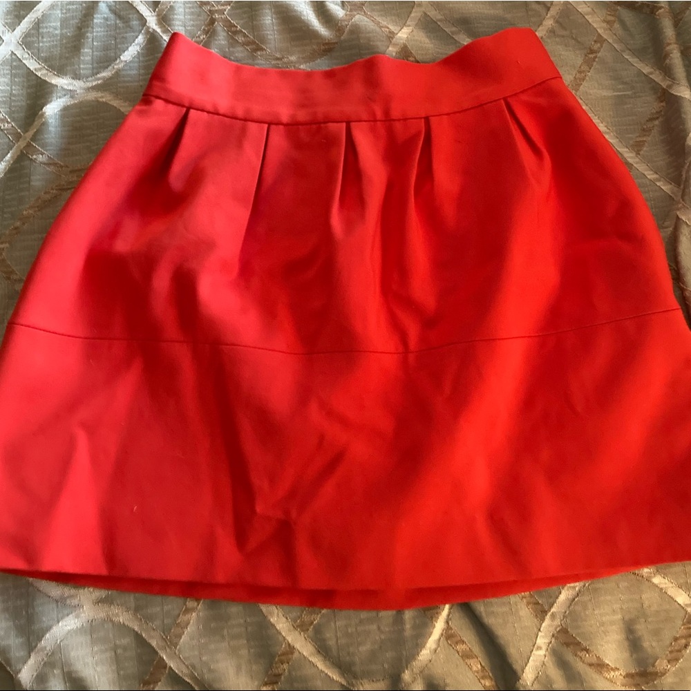 Zara Mini Skirt
